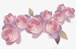 粉色玫瑰婚庆素材