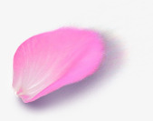 粉色单片花瓣创意素材