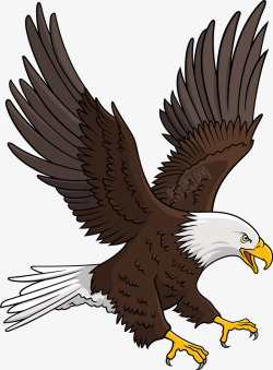 美国副总统徽章手绘白头鹰鹰击长空高清图片