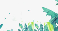清新风羽毛卡通手绘风热带植物小清新植物春高清图片