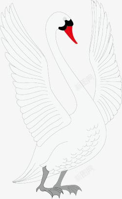 卡通母鸡设计张开翅膀的白天鹅图高清图片