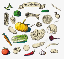 Vegetables蔬菜的集合高清图片