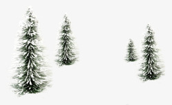 被雪覆盖的植被雪松高清图片