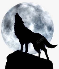 狼动物满月狼嚎高清图片