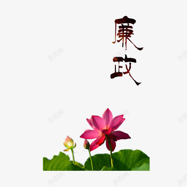 出淤泥而不染png免抠素材_88icon https://88icon.com 党风廉政建设 廉政 简笔 绿色 荷花