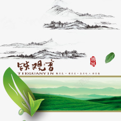 茶叶铁观音素材