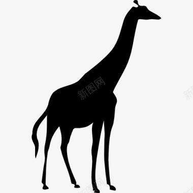 动物长颈鹿剪影图标图标