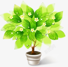 春季白色花朵绿叶装饰素材