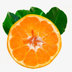 柑橘水果耙耙柑水果和绿叶高清图片