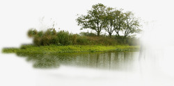 野生湿地公园湖边素材