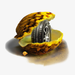 创意贝壳中的轮胎素材