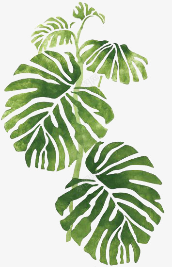 一株手绘芭蕉叶png免抠素材_88icon https://88icon.com 小清新 植物 水彩 绿色