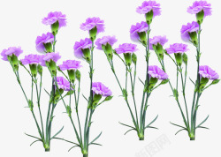 紫色海报植物花朵素材