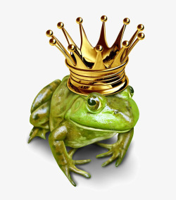 蛙类戴着王冠的青蛙高清图片