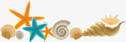 海螺扇贝海星贝壳素材