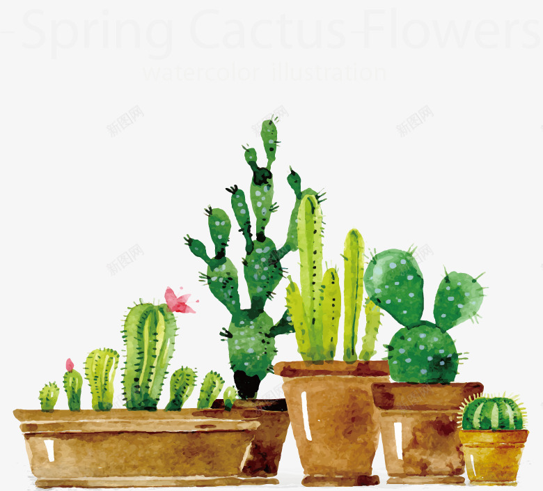 春天植物仙人掌饰品png免抠素材_88icon https://88icon.com 仙人掌 春天 植物 饰品