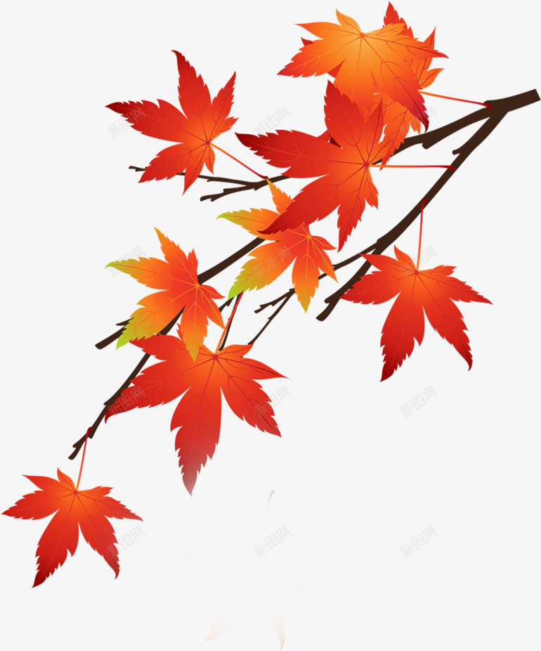 红色手绘枫叶树枝金秋png免抠素材_88icon https://88icon.com 枫叶 树枝 红色 金秋