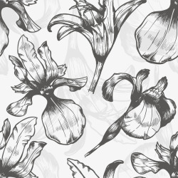 古典花纹花纹插画背景素材