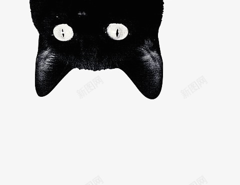 黑色涂鸦天猫图标图标