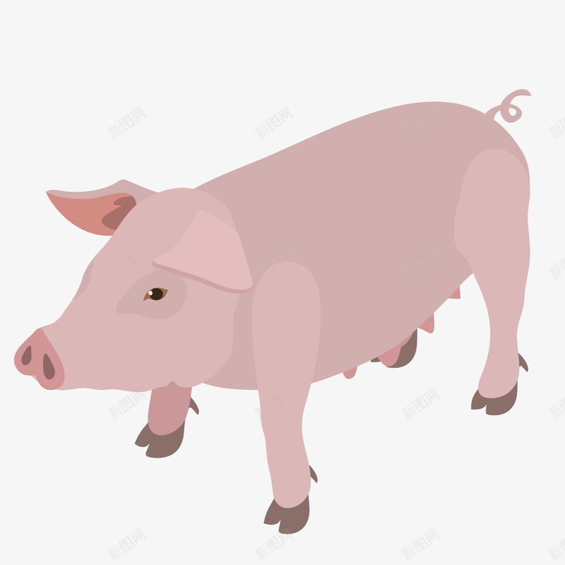 粉色可爱小猪矢量图eps免抠素材_88icon https://88icon.com 动物 卡通 图案 小清新 小猪 形象设计 生物 简约 粉色 精致 矢量图