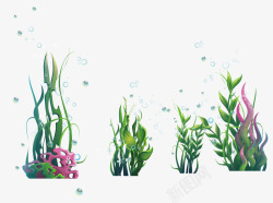 海藻类绿色海洋海藻类植物和水泡高清图片