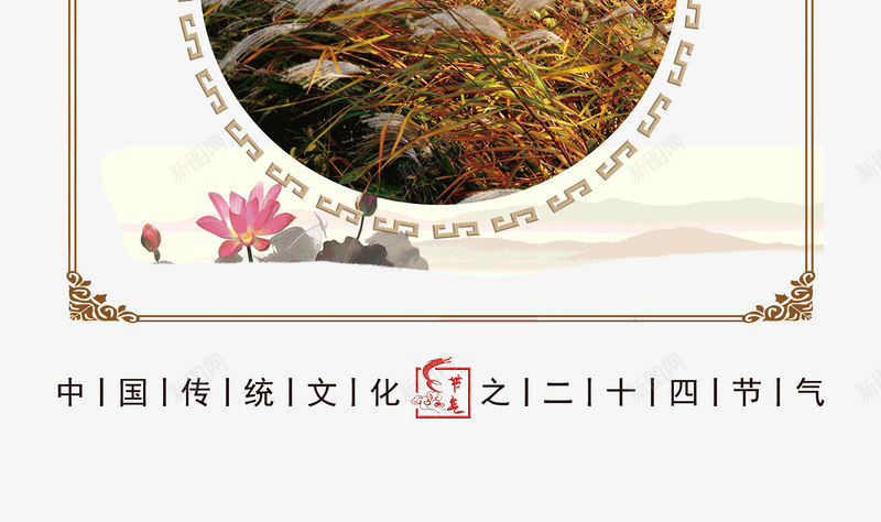 霜降芦花飘满天psd免抠素材_88icon https://88icon.com 满天 芦花 霜降 飘