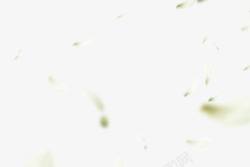 漂浮的蒲公英花瓣漂浮蒲公英高清图片