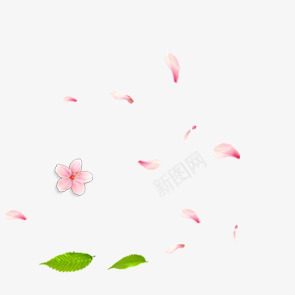 漂浮的花瓣和绿叶png免抠素材_88icon https://88icon.com 漂浮 绿叶 花瓣