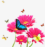 粉色春季促销花朵蝴蝶素材