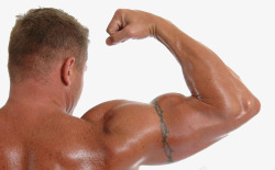 男性生殖器官展示强壮手臂的男人高清图片