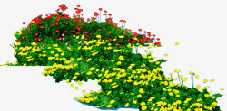 黄红色花朵植物绿化素材