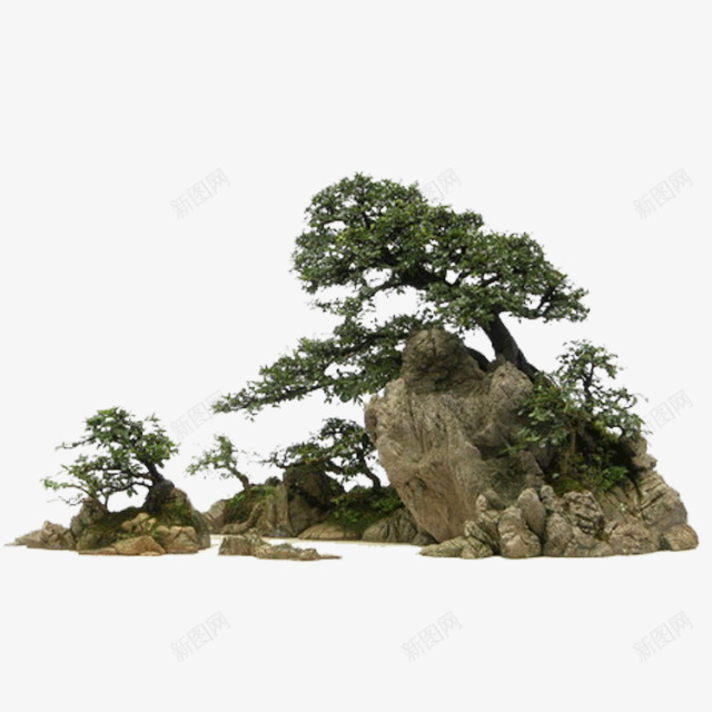 石头松树png免抠素材_88icon https://88icon.com png素材 日本松树 松树 石头 绿松树