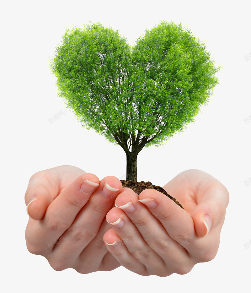 呵护大树png免抠素材_88icon https://88icon.com 呵护 土壤 手势 环境保护 绿色环保 自然景观