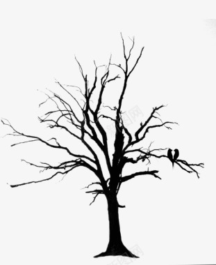 空空的树干枯树藤上的小鸟图标图标