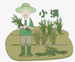 种植插画小满装饰插图种植水稻高清图片