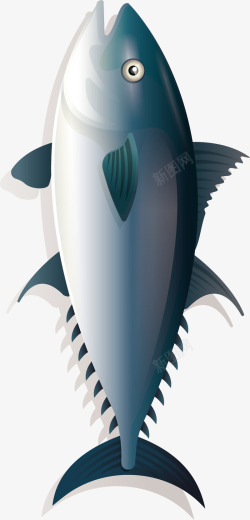 鱼的简化图卡通鱼矢量图高清图片