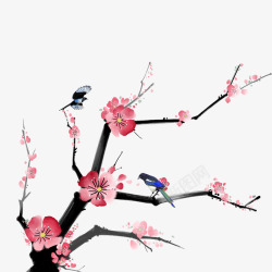 简约红梅树枝一支寒梅花开高清图片