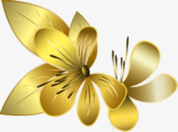 金色精致花朵手绘素材