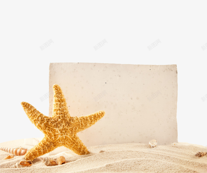 沙滩中的唯一png免抠素材_88icon https://88icon.com 完美 有你 沙滩 沙粒 海星