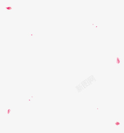 漂浮花瓣素材