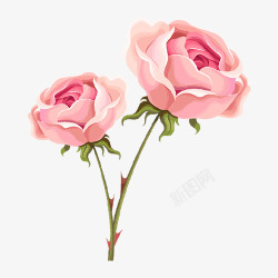 粉色情人节玫瑰花束素材