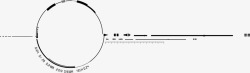 圆形黑色简笔轮廓直线素材