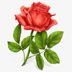 手绘一朵带刺的玫瑰素材