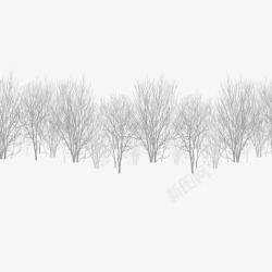 雪松矢量冬日雪松高清图片