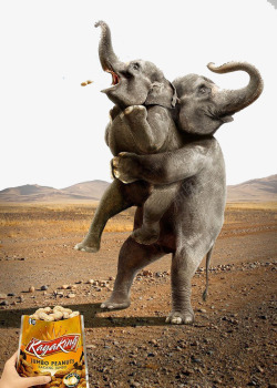 大象抱小象素材