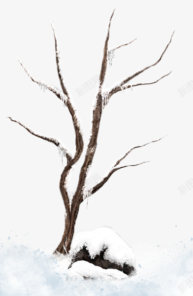 冬天的雪落枯树png免抠素材_88icon https://88icon.com 冬天 枯树 积雪 落雪 雪花