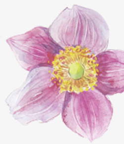 手绘粉色水彩春季花朵素材