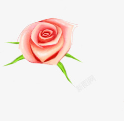 手绘粉色淡雅玫瑰花朵素材