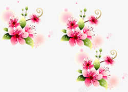 粉色淡雅唯美花朵装饰素材