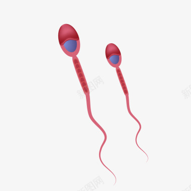 红色男士精子遗传物质图标图标